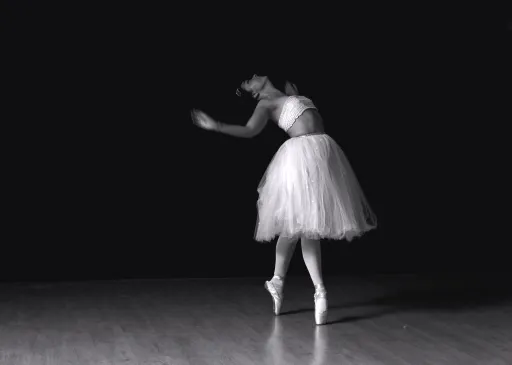 Gala de Ballet de ADN Ballet Studio 